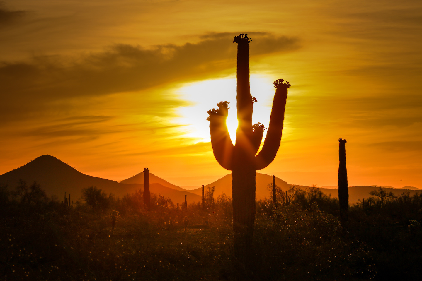 The beauty of a desert sunset is breathtaking