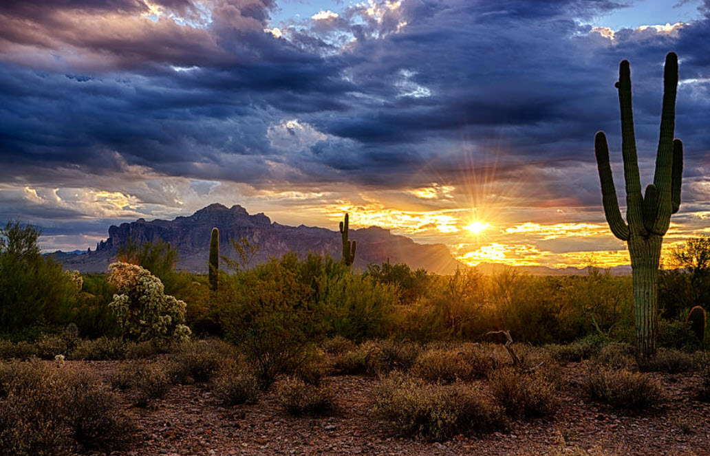 A Sonoran Desert Sunrise photo by Saija Lehtonen