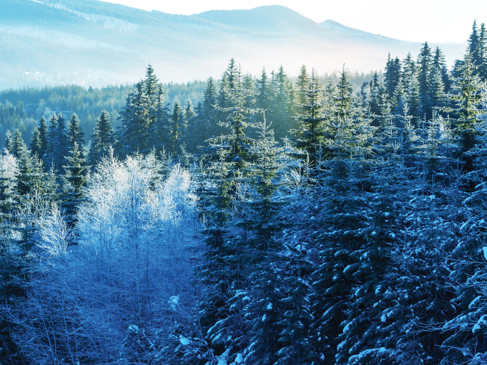Appalachian Winter, a Cantata for Christmas