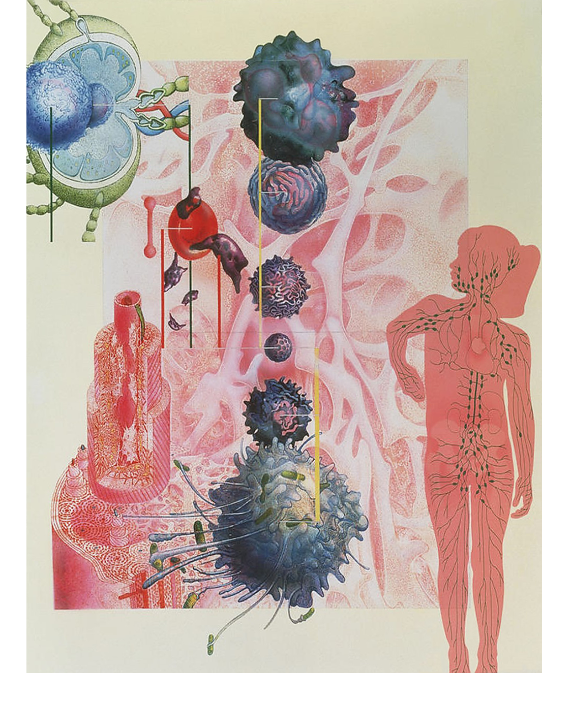 Collage Artwork of the Immune System, Hans-Ulrich Osterwalder (2013)