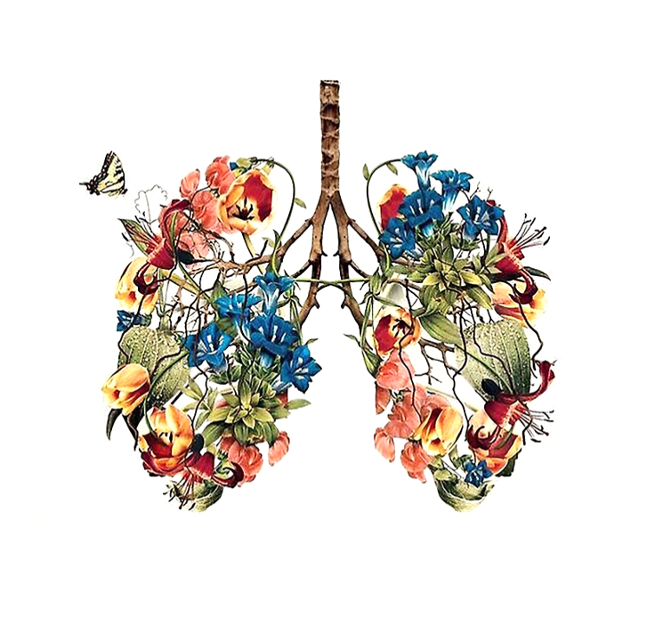 Lungs and Breathing: Inspiration and Exultation