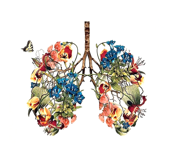 Lungs and Breathing: Inspiration and Exultation