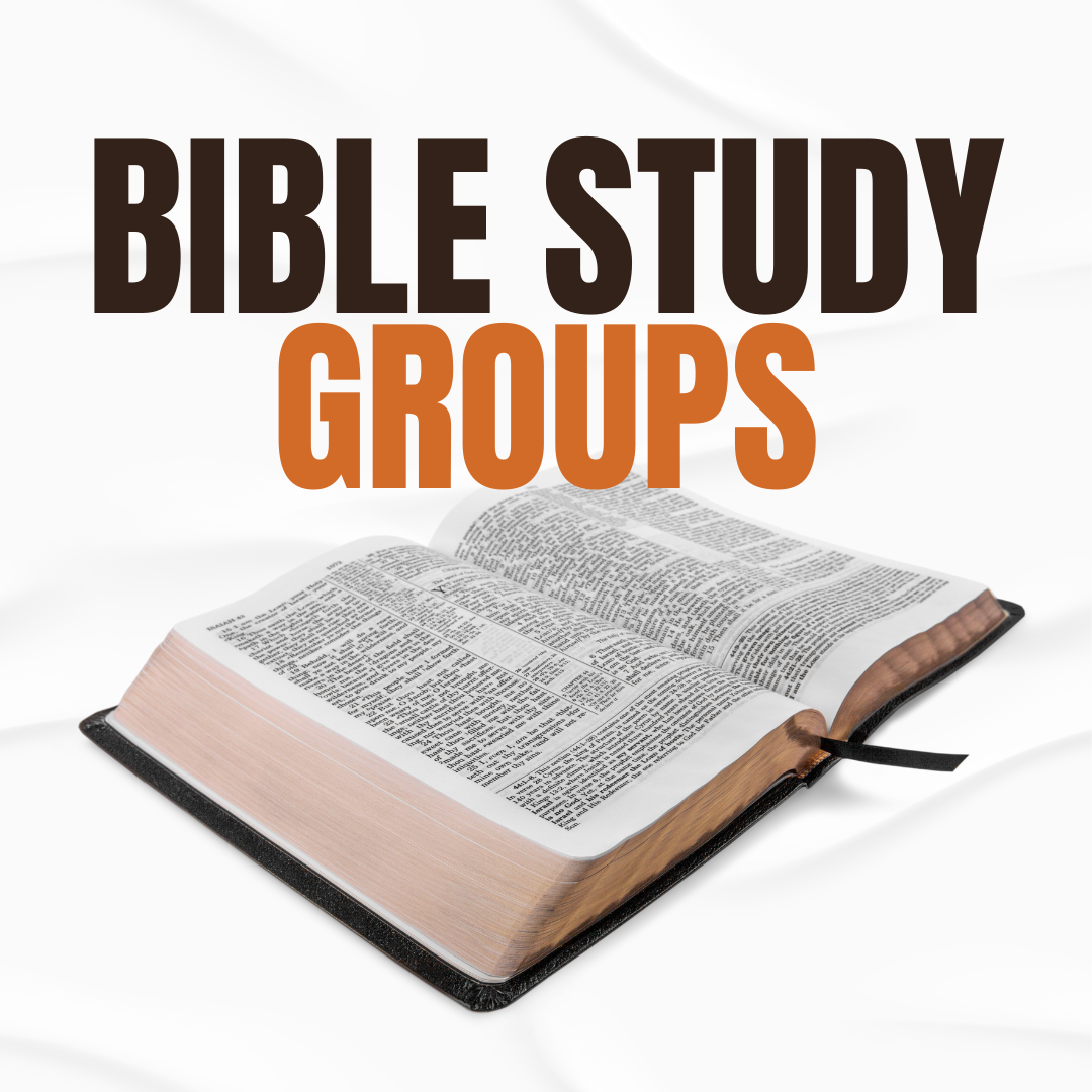 Bible Studies
