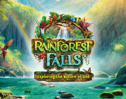 Rainforest Falls VBS